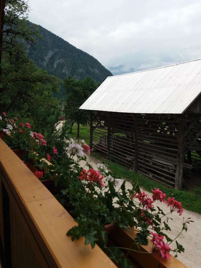 Apartma Momo Bohinj Εξωτερικό φωτογραφία